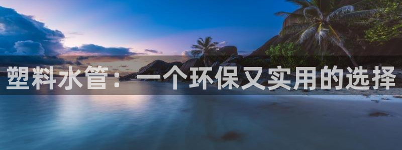 威九国际抡里