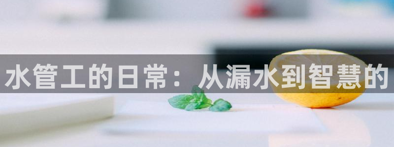 威九国际78mob游戏说明