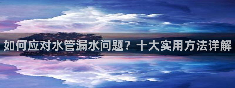 保定威九网络科技有限公司怎么样