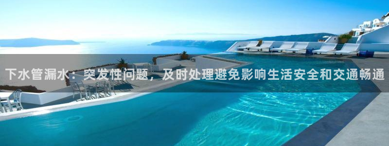 威九国际合作伙伴有哪些