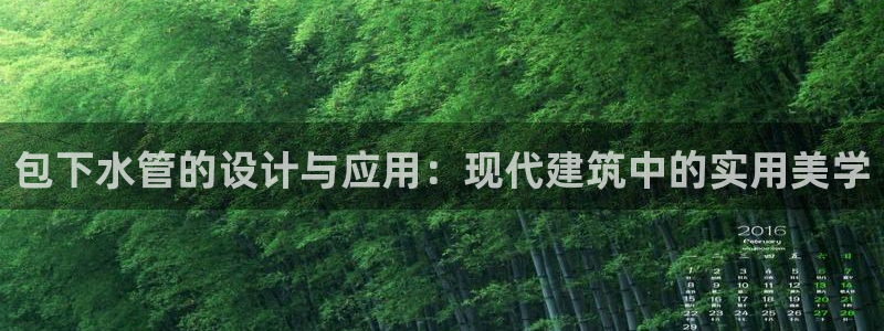 威九国际精免费下载
