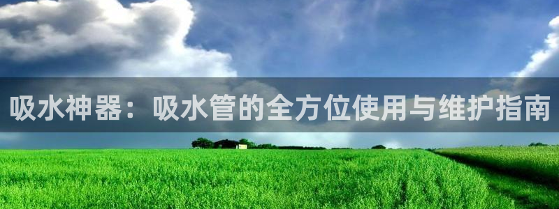 威九国际app客服电话