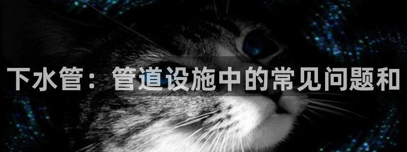威九国际网站经常打不开怎么办
