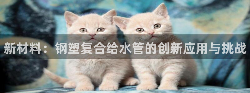 威九国际网站怎么样可靠吗