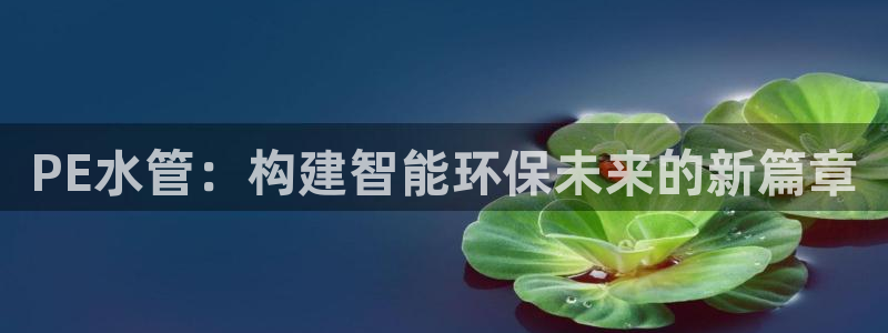 威九国际取款不会被骗吧吗
