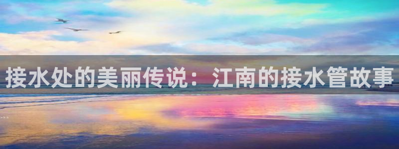 威九国际第一页