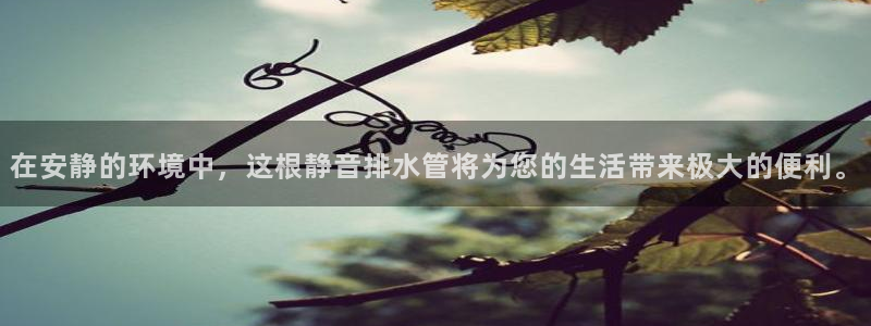 威九国际78app