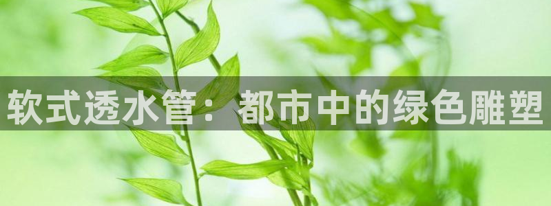 威九国际电视怎么样