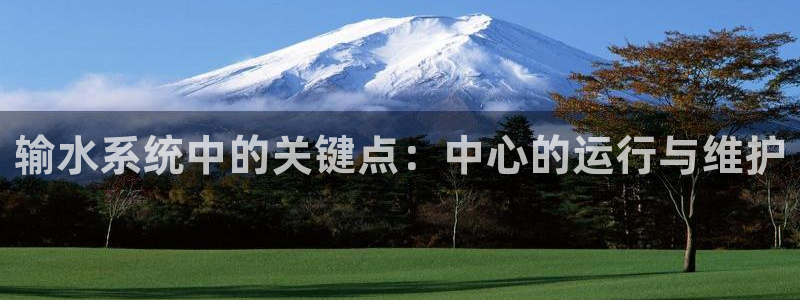 威九国际app入口官网