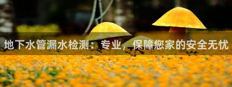 威九国际游戏app(网站)