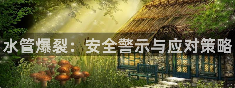 威九国际女星