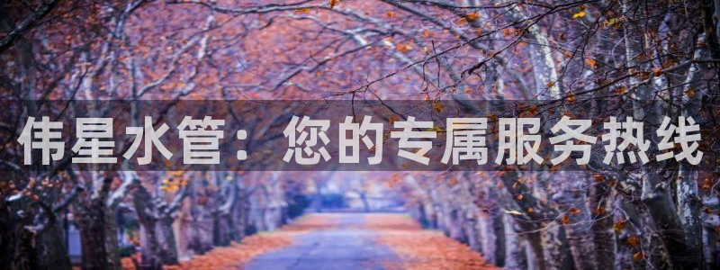 威九国际网站入口官网游戏推荐