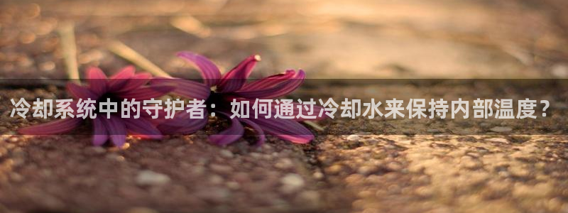 威九国际cm78