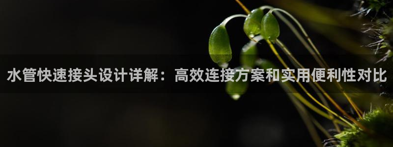 威九国际66视频
