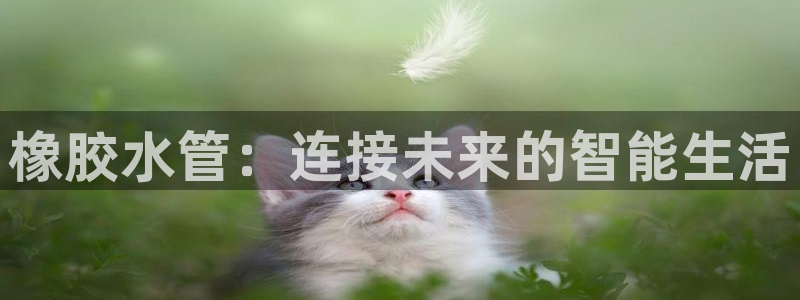 威九国际可以退钱吗怎么退