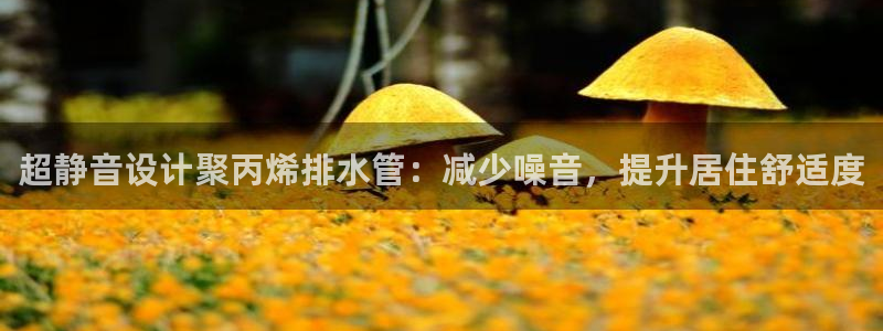 保定威九网络科技有限公司招聘