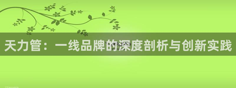 威九国际旗下艺人