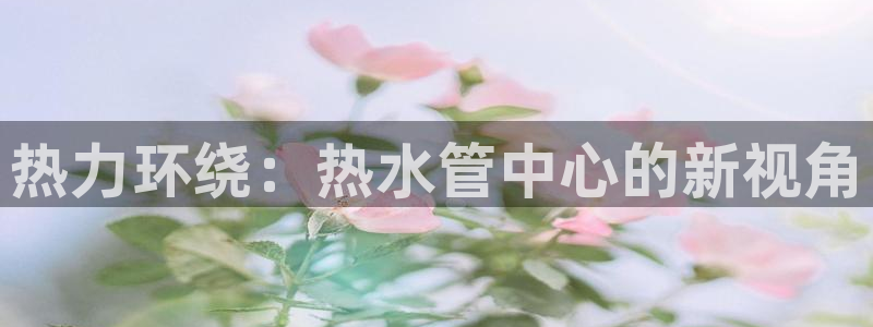 威九国际人民网招聘