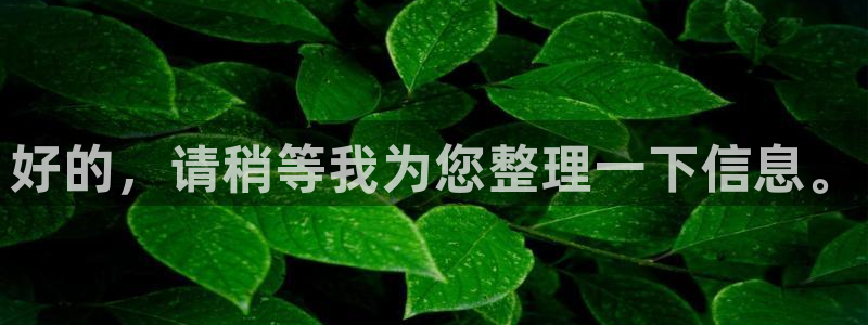 威九国际免费