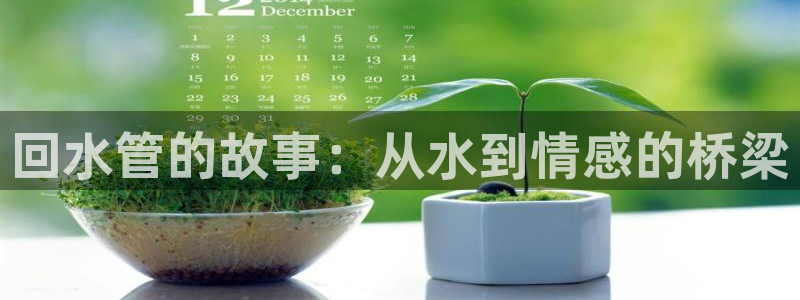 威九国际v96bet官网版