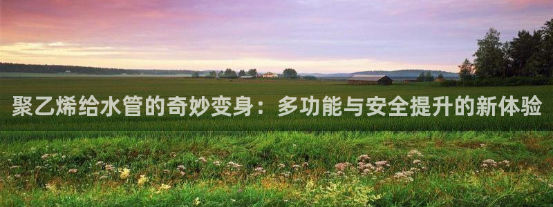 威九国际官网登录入口下载