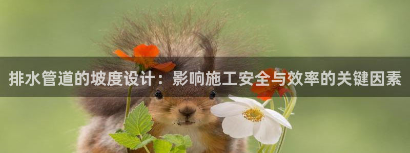 威九国际APP大全