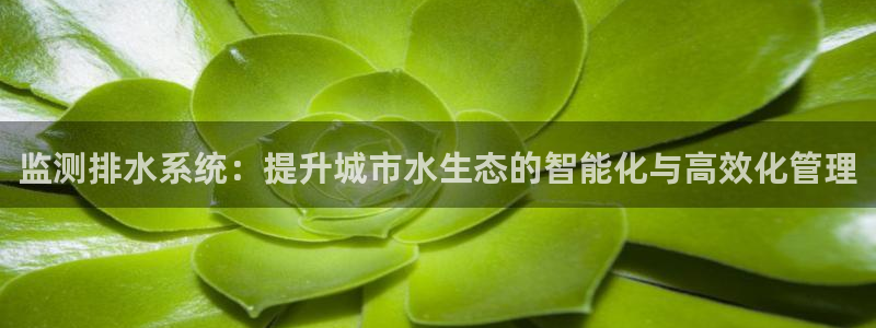 威九国际游戏入口