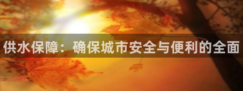 威九国际ppt免费吗