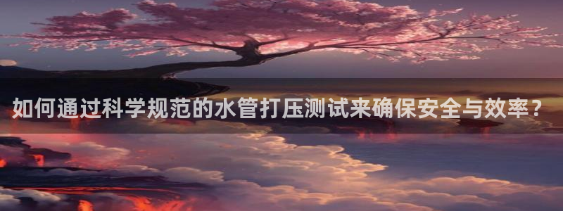 威九国际空降