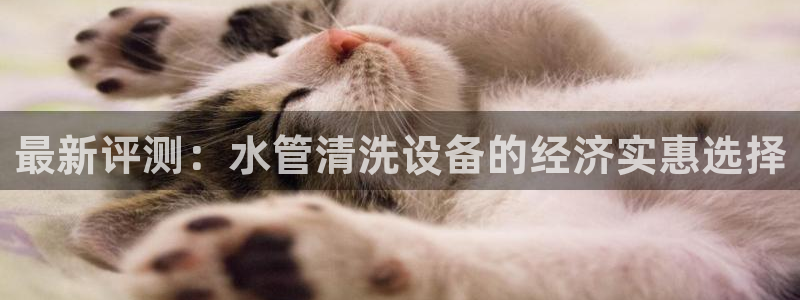 威九国际app网站官网