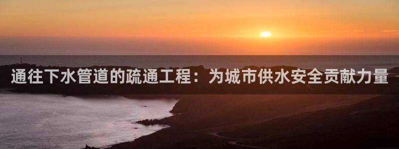 威九国际软件公司简介