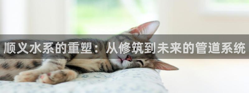 威九国际FF