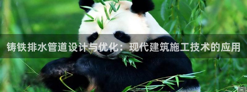 威九国际v96 bet会黑吗