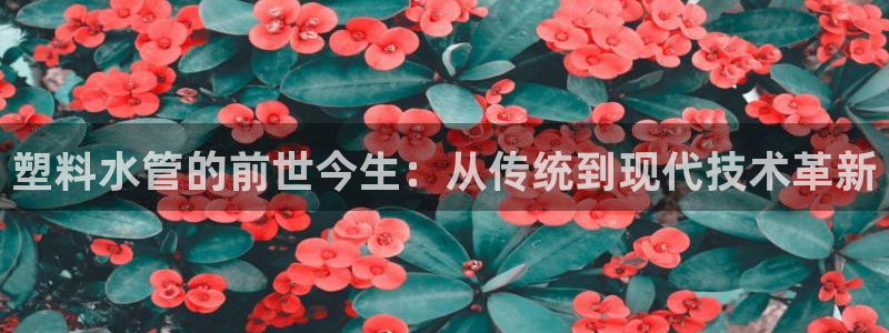 威九国际集团66m一6
