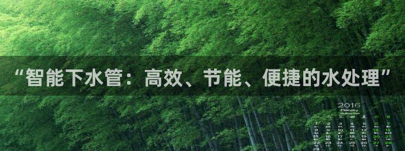 威九国际能提现吗