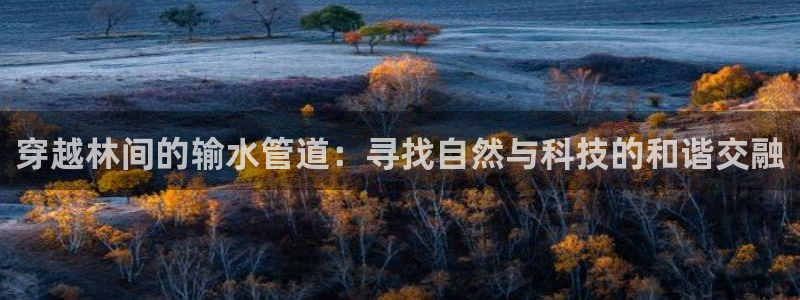 78mapp威九国际一
