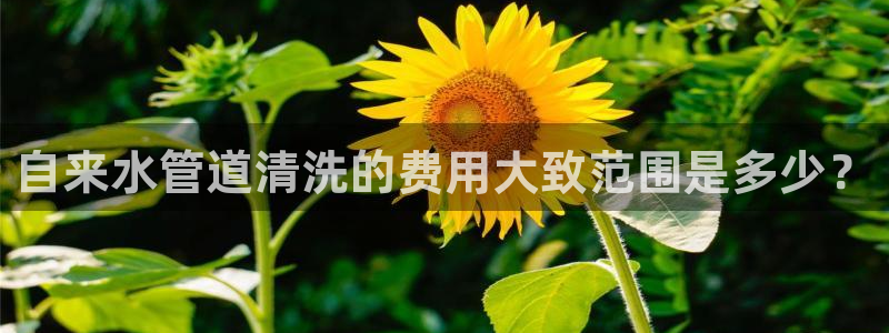 威九国际网站进入客服中心怎么退出