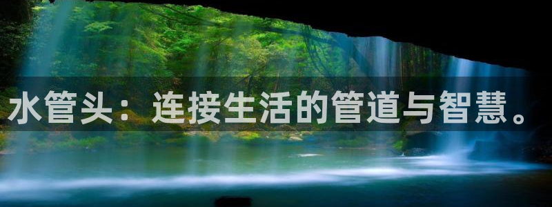 威九国际男主