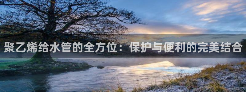威九国际mb