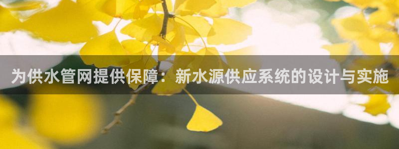 威九国际66m66m