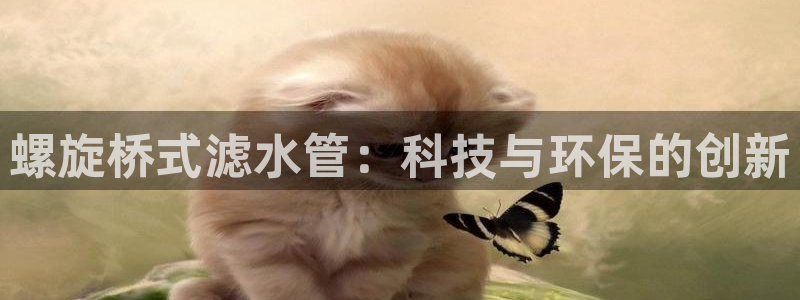 威九国际精