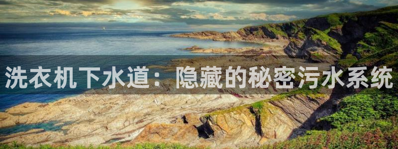 威九国际空降服务女演员叫什么名字