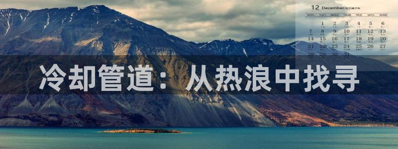 威九国际官网登录入口网站