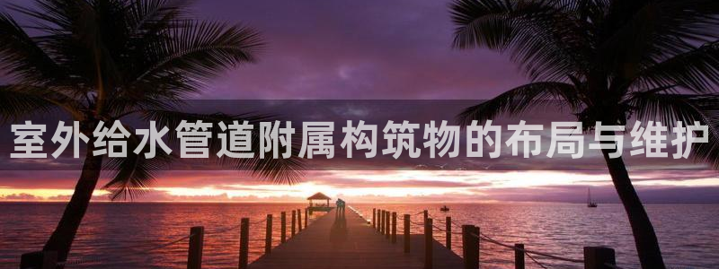 威九国际网站游戏