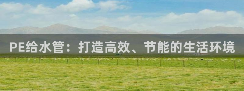威九国际网站是多少