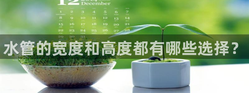 威九国际下载官网app