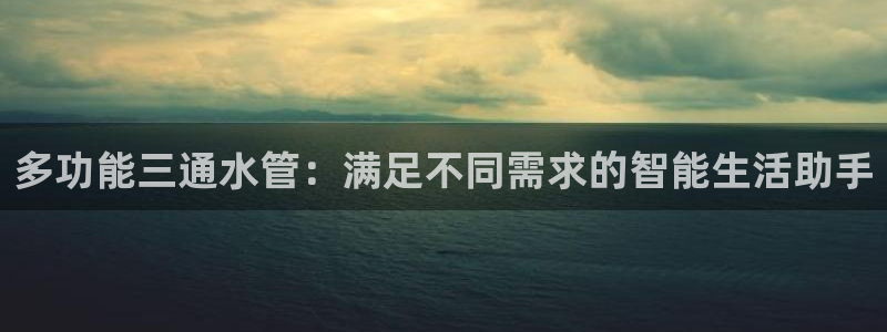 威九国际成长模式