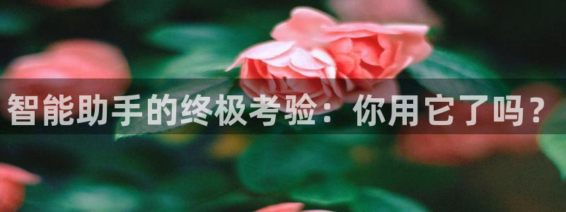 威九国际v8