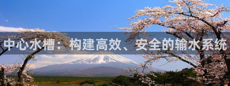 威九国际精免费下载