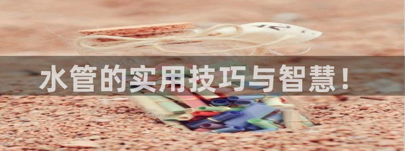 威九国际网站入口地址